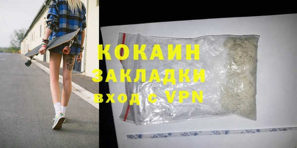 прущие грибы Белокуриха
