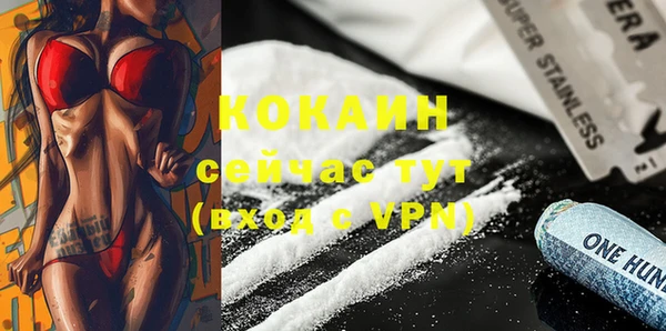 прущие грибы Белокуриха