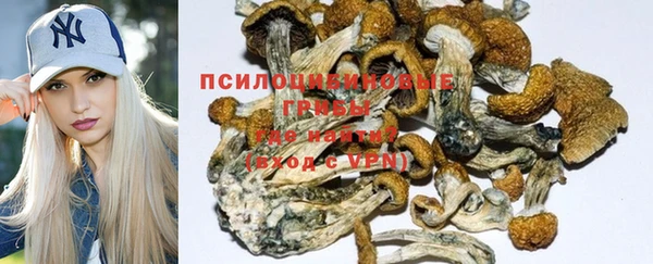 СК Богородицк