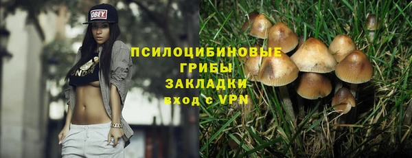 гидропоника Белоозёрский