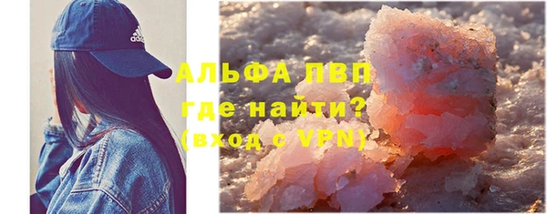 прущие грибы Белокуриха