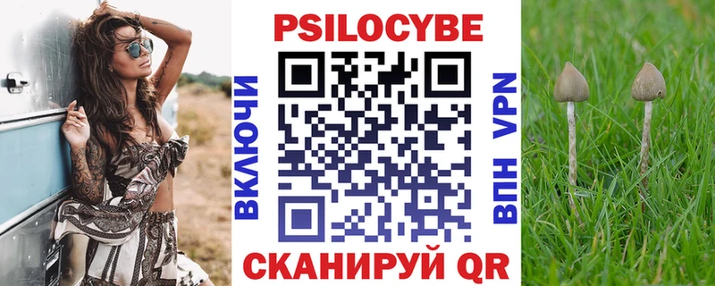 Галлюциногенные грибы MAGIC MUSHROOMS  где найти   Шебекино 